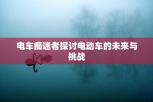 电车痴迷者探讨电动车的未来与挑战