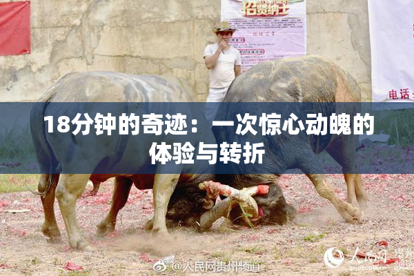 18分钟的奇迹：一次惊心动魄的体验与转折