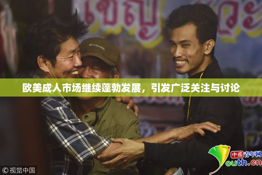 欧美成人市场继续蓬勃发展，引发广泛关注与讨论