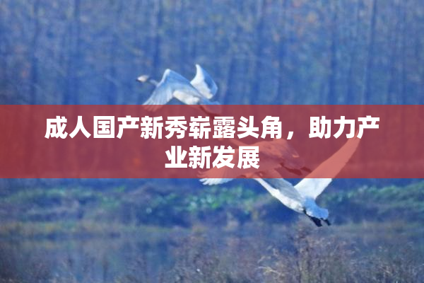 成人国产新秀崭露头角，助力产业新发展