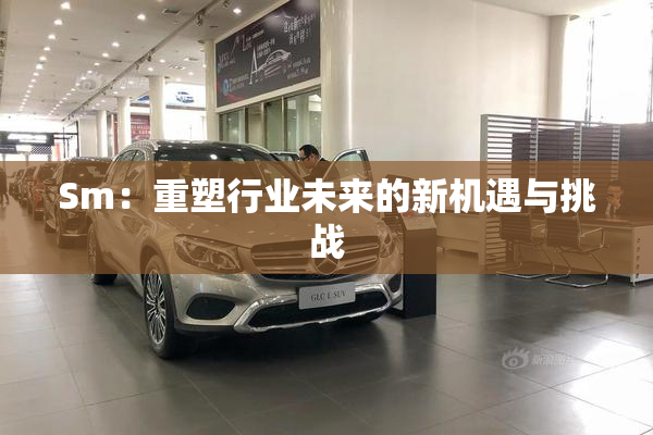 Sm：重塑行业未来的新机遇与挑战