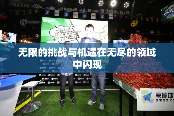 无限的挑战与机遇在无尽的领域中闪现