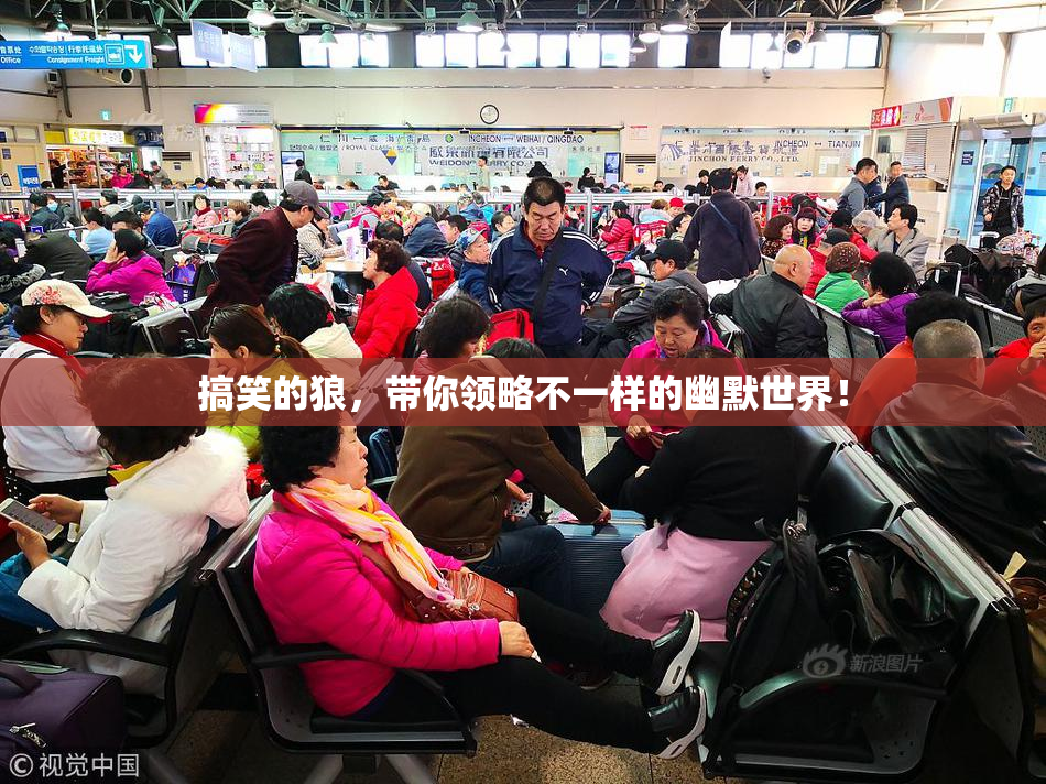 搞笑的狼，带你领略不一样的幽默世界！