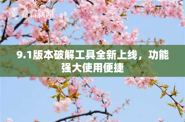 9.1版本破解工具全新上线，功能强大使用便捷