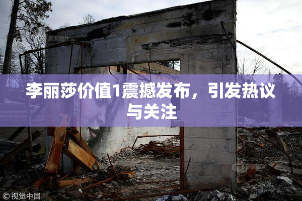 李丽莎价值1震撼发布，引发热议与关注
