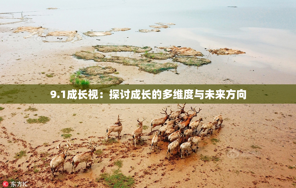 9.1成长视：探讨成长的多维度与未来方向