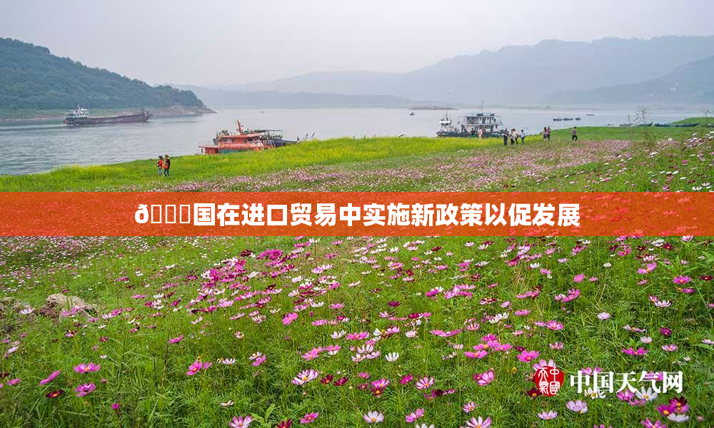 🔞国在进口贸易中实施新政策以促发展