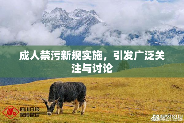 成人禁污新规实施，引发广泛关注与讨论