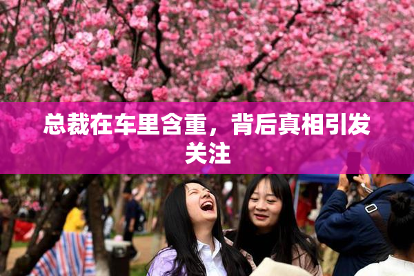 总裁在车里含重，背后真相引发关注