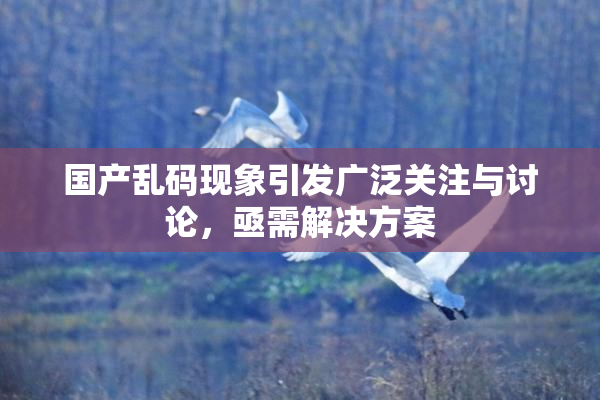 国产乱码现象引发广泛关注与讨论，亟需解决方案