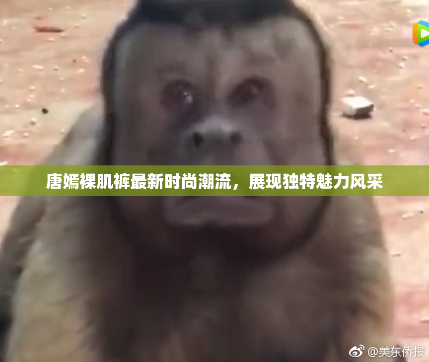 唐嫣裸肌裤最新时尚潮流，展现独特魅力风采