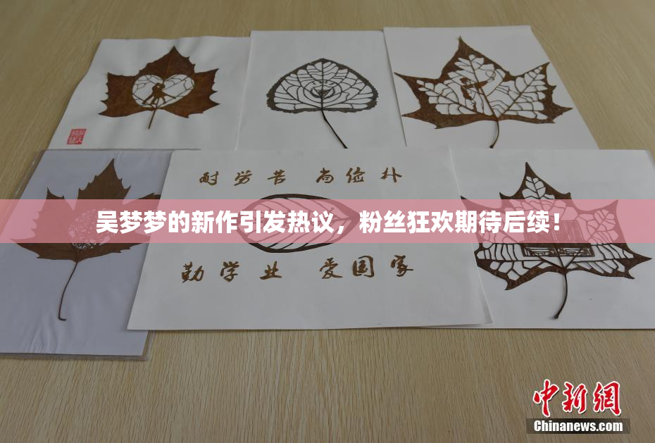 吴梦梦的新作引发热议，粉丝狂欢期待后续！