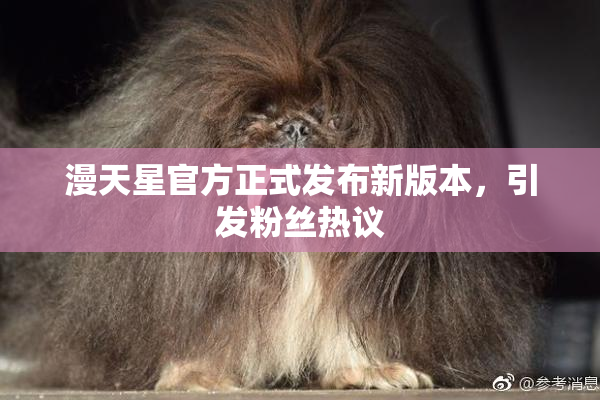 漫天星官方正式发布新版本，引发粉丝热议