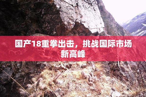 国产18重拳出击，挑战国际市场新高峰
