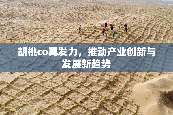 胡桃co再发力，推动产业创新与发展新趋势