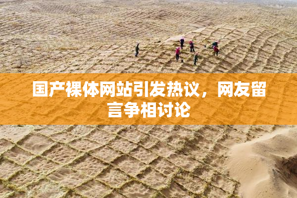 国产裸体网站引发热议，网友留言争相讨论