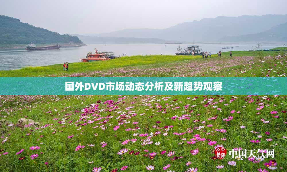 国外DVD市场动态分析及新趋势观察
