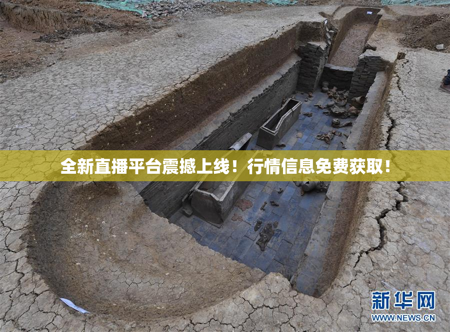 全新直播平台震撼上线！行情信息免费获取！
