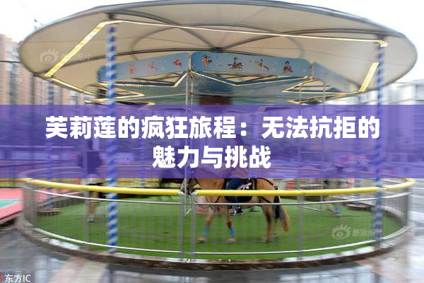 芙莉莲的疯狂旅程：无法抗拒的魅力与挑战