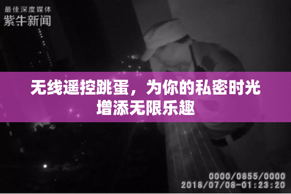 无线遥控跳蛋，为你的私密时光增添无限乐趣