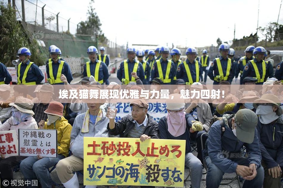 埃及猫舞展现优雅与力量，魅力四射！