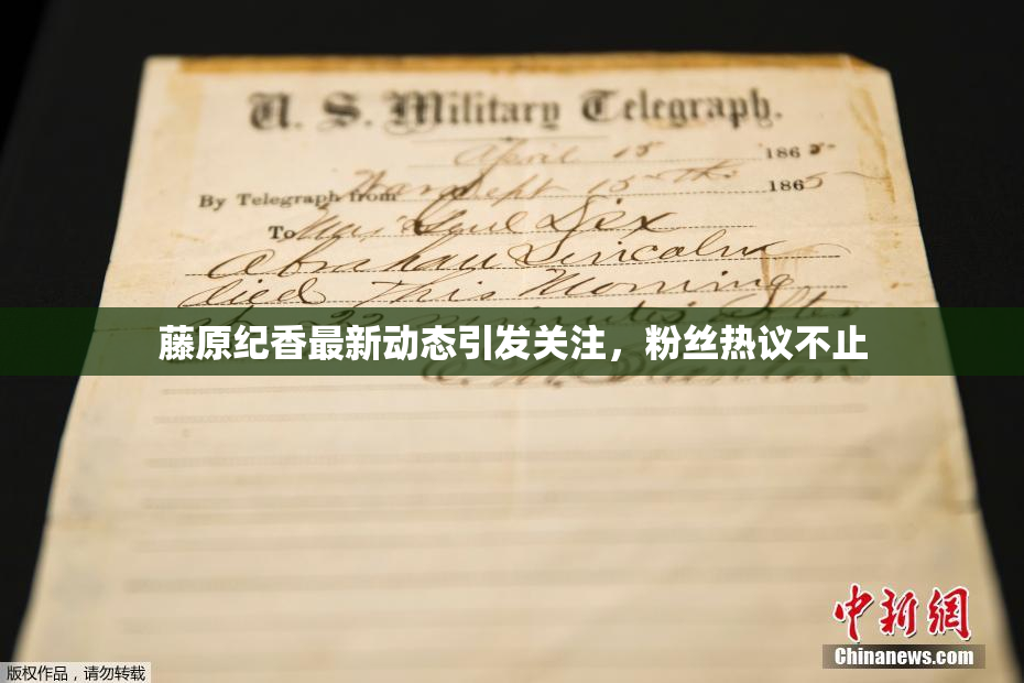 藤原纪香最新动态引发关注，粉丝热议不止
