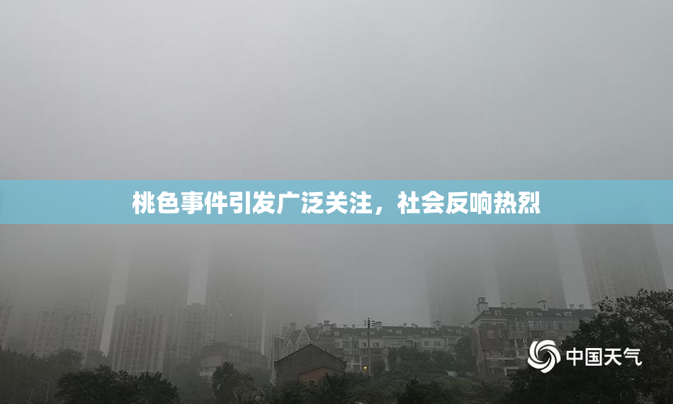 桃色事件引发广泛关注，社会反响热烈