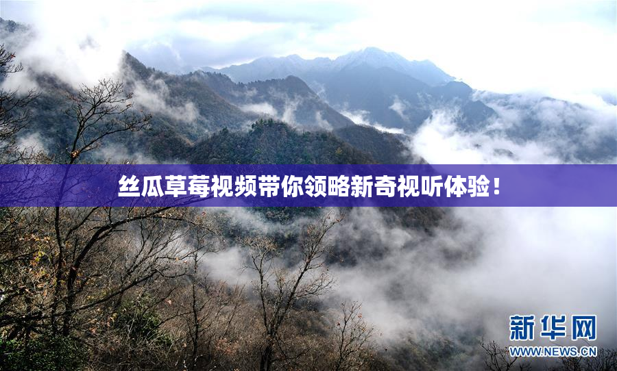 丝瓜草莓视频带你领略新奇视听体验！