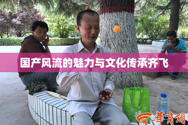 国产风流的魅力与文化传承齐飞