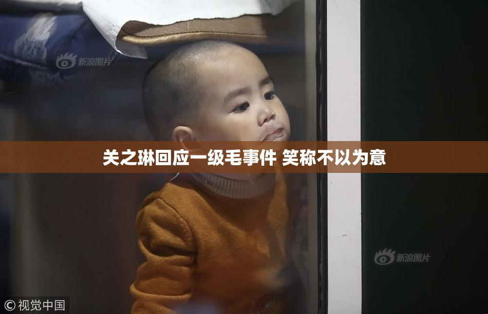关之琳回应一级毛事件 笑称不以为意