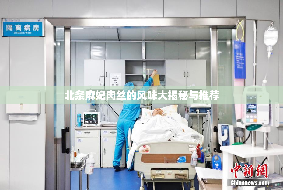 北条麻妃肉丝的风味大揭秘与推荐