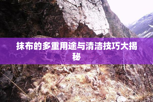 抹布的多重用途与清洁技巧大揭秘