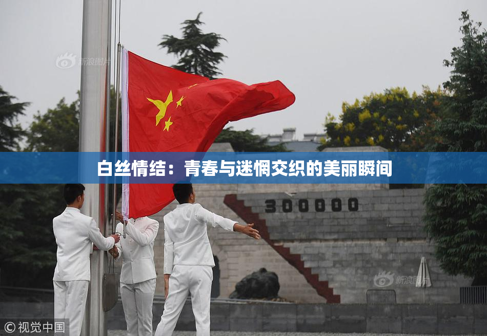 白丝情结：青春与迷惘交织的美丽瞬间