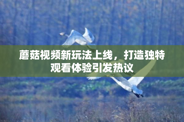 蘑菇视频新玩法上线，打造独特观看体验引发热议