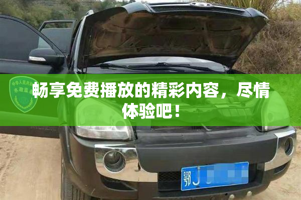 畅享免费播放的精彩内容，尽情体验吧！