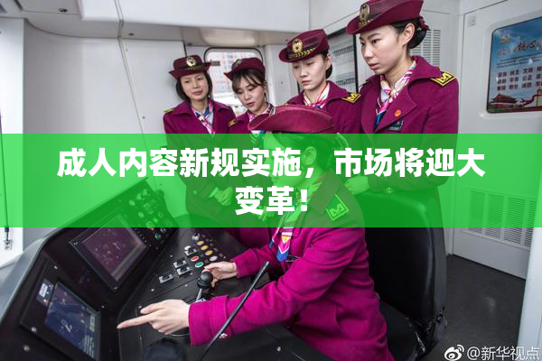 成人内容新规实施，市场将迎大变革！