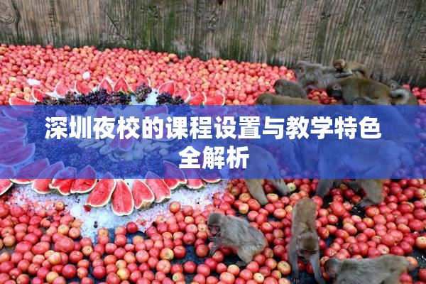 深圳夜校的课程设置与教学特色全解析