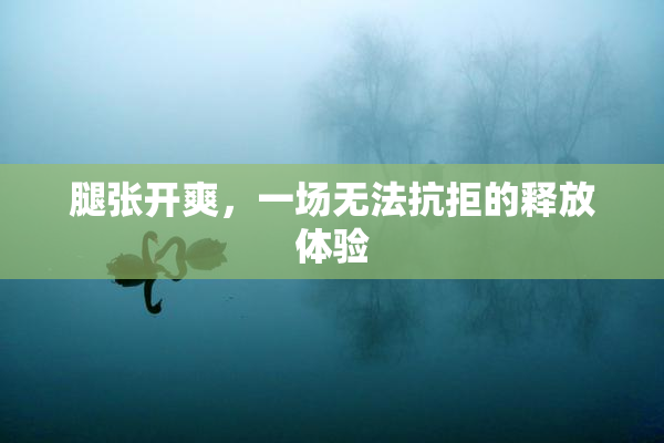 腿张开爽，一场无法抗拒的释放体验