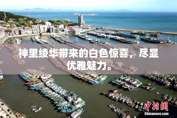 神里绫华带来的白色惊喜，尽显优雅魅力。