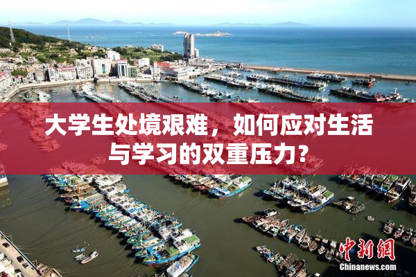 大学生处境艰难，如何应对生活与学习的双重压力？