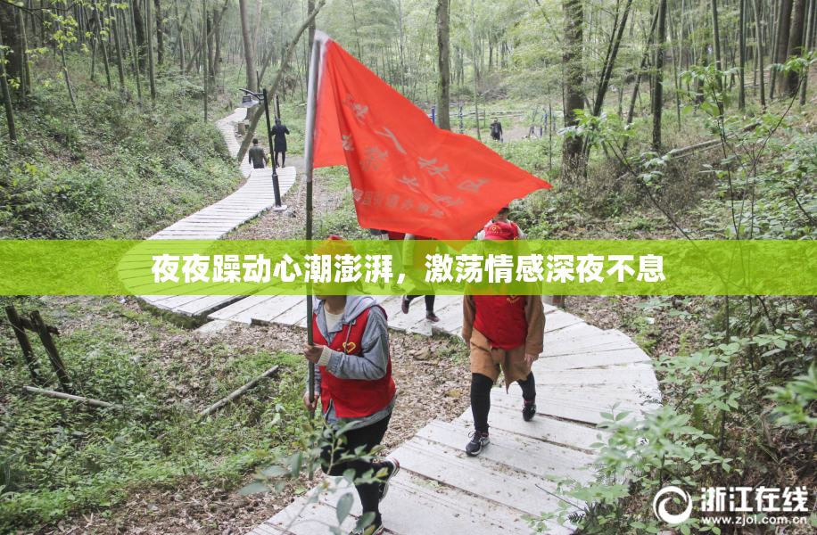 夜夜躁动心潮澎湃，激荡情感深夜不息