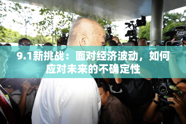 9.1新挑战：面对经济波动，如何应对未来的不确定性