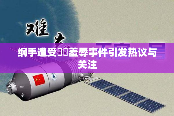 纲手遭受❌‌羞辱事件引发热议与关注