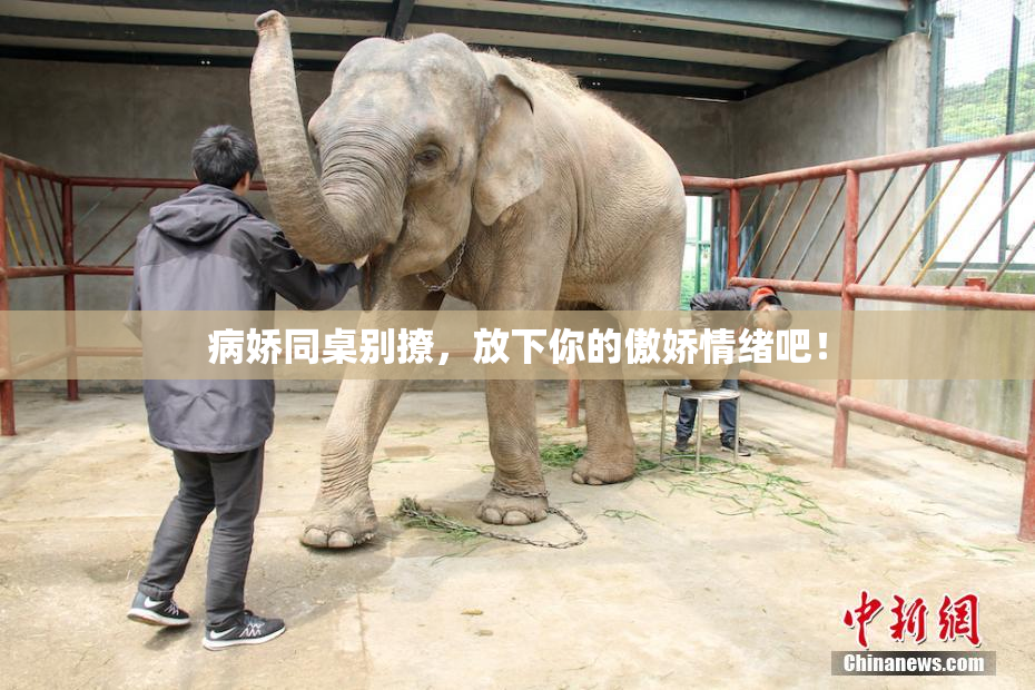病娇同桌别撩，放下你的傲娇情绪吧！