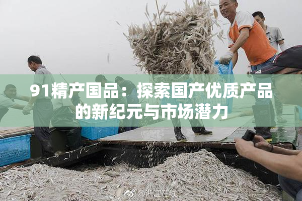 91精产国品：探索国产优质产品的新纪元与市场潜力