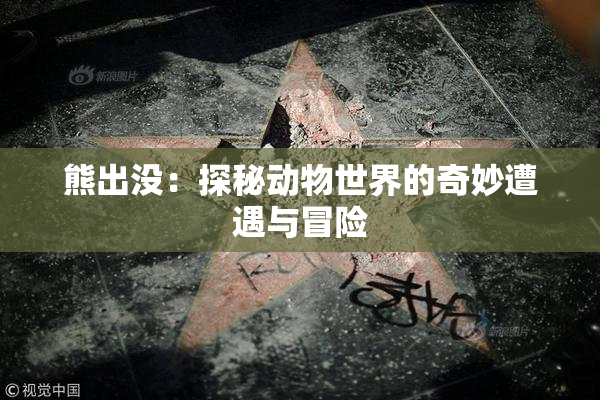 熊出没：探秘动物世界的奇妙遭遇与冒险