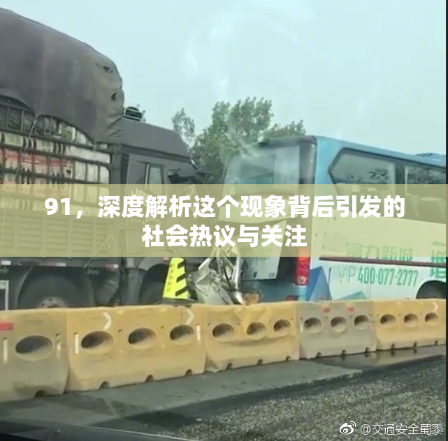 91，深度解析这个现象背后引发的社会热议与关注