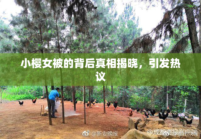 小樱女被的背后真相揭晓，引发热议