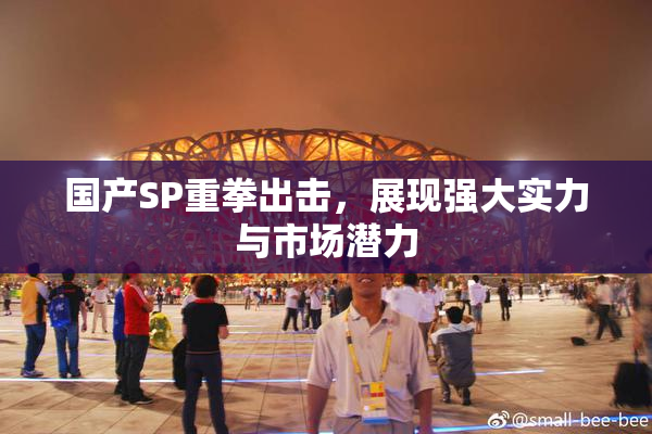 国产SP重拳出击，展现强大实力与市场潜力