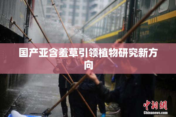 国产亚含羞草引领植物研究新方向